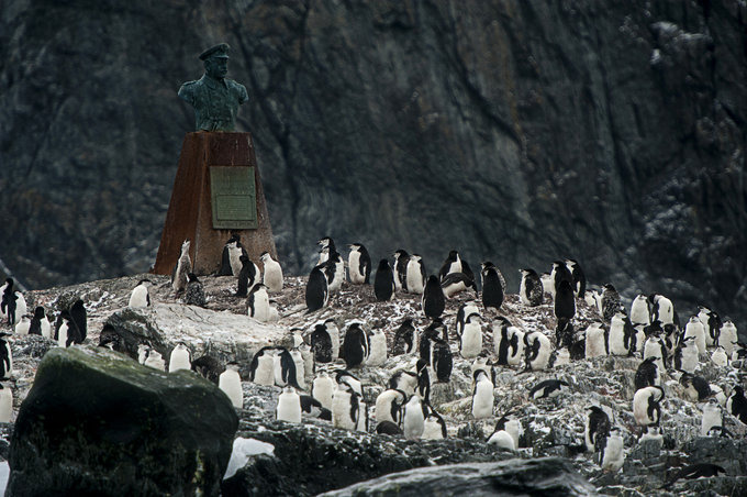 大象岛图片 大象岛图片