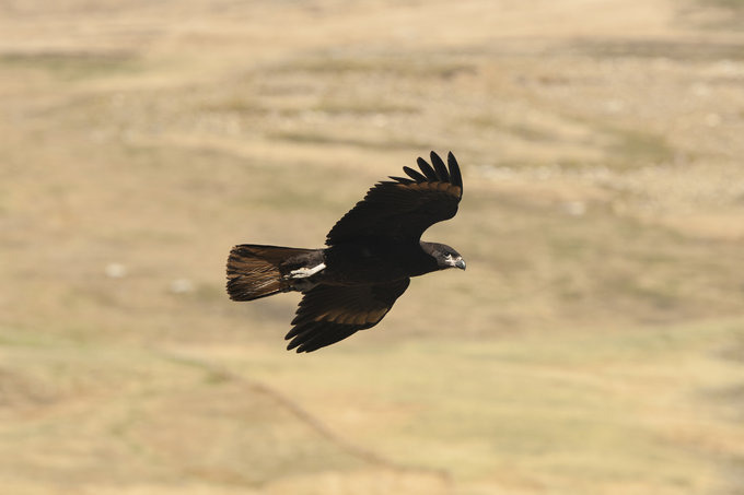 West Point岛图片 West Point岛图片