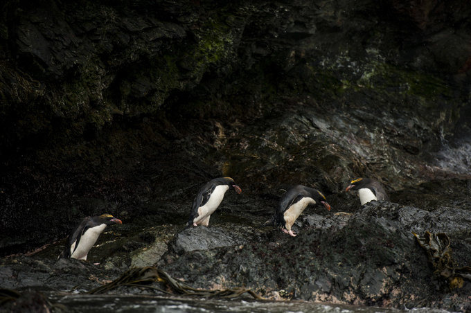 Cooper Bay图片 Cooper Bay图片