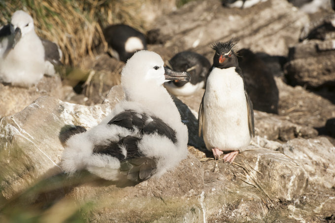 West Point岛图片 West Point岛图片