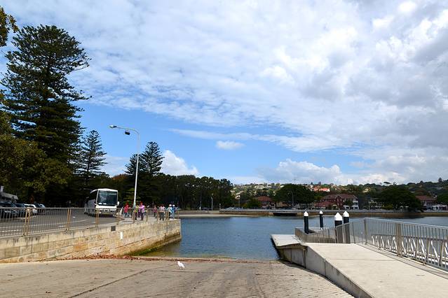 玫瑰湾至尼尔森公园漫步