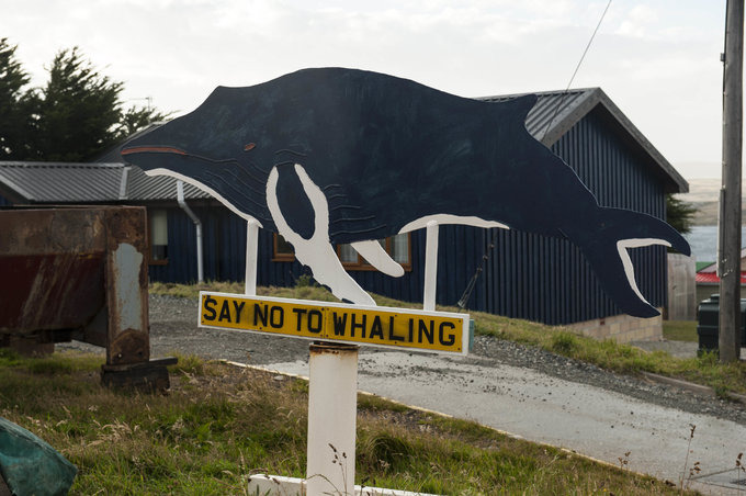 斯坦利港图片 斯坦利港图片