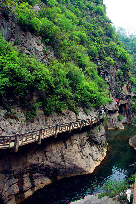 西峡好玩的地方图片