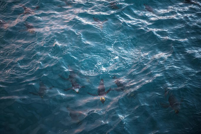 Salisbury Plain图片 Salisbury Plain图片