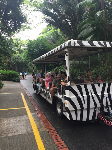 2018到达后,在新加坡动物园门口的售票处,将打