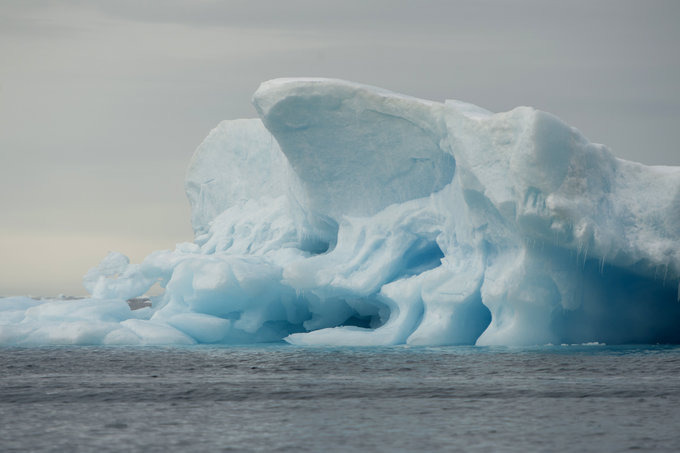 Paulet Island图片 Paulet Island图片