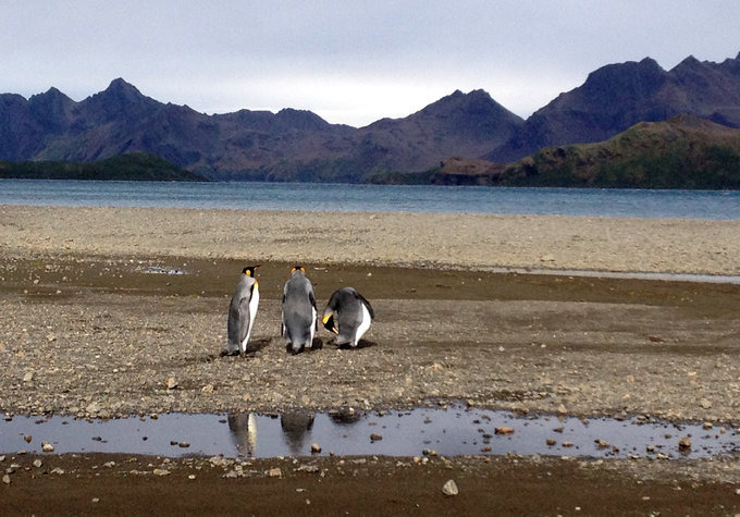 Leith Harbour图片 Leith Harbour图片