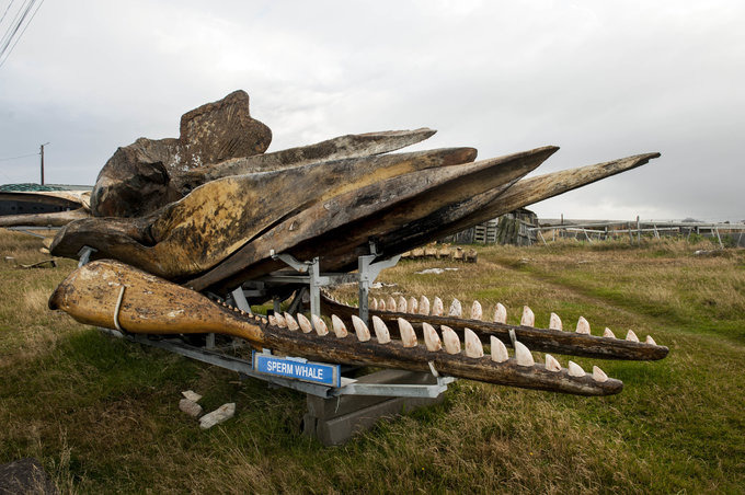 斯坦利港图片 斯坦利港图片