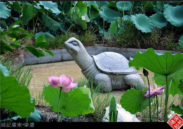 封开国家地质公园