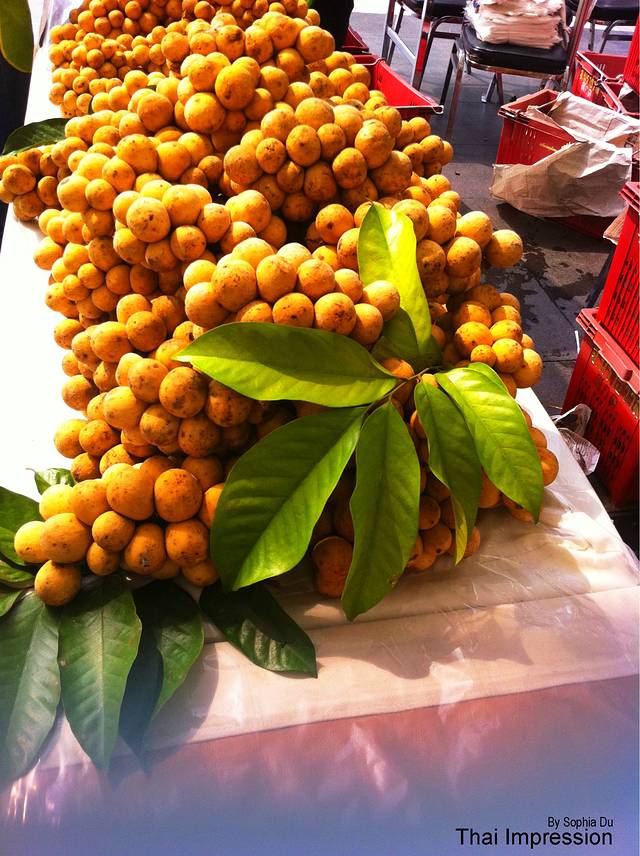 囧事不断的泰国象岛之旅