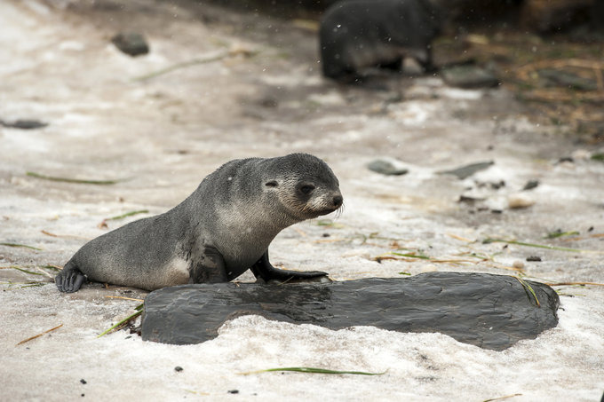 Cooper Bay图片 Cooper Bay图片