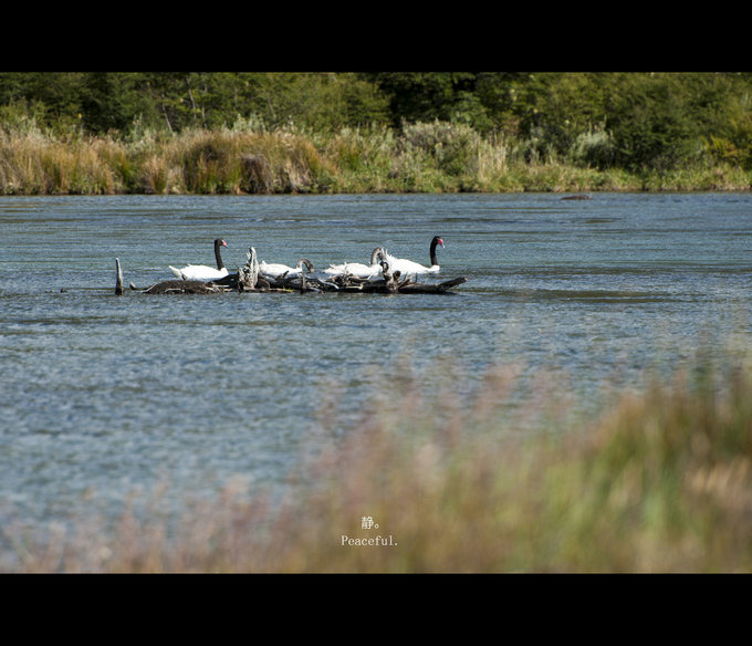 火地岛国家公园图片 火地岛国家公园图片