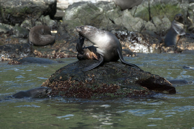 大洋港图片 大洋港图片