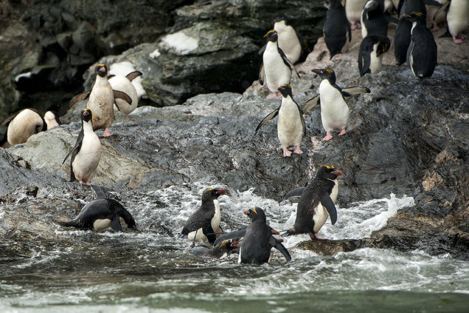 Cooper Bay图片 Cooper Bay图片