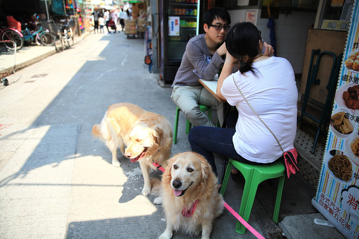 非常安静著名的女星周海媚就是长洲人再往前走几步就是海滩了走了半天