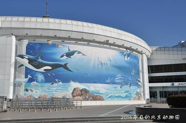 北京海洋馆