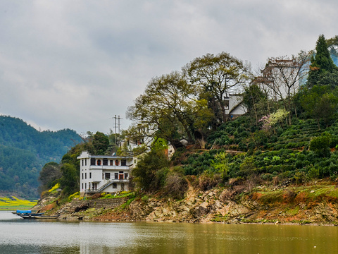 深渡镇旅游景点图片