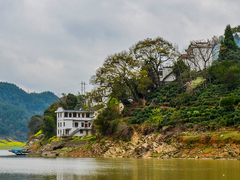 深渡镇旅游景点图片