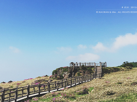 汉拿山国立公园旅游景点图片