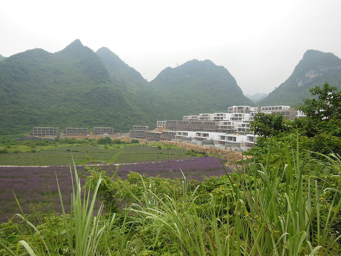 香草园薰衣草图片