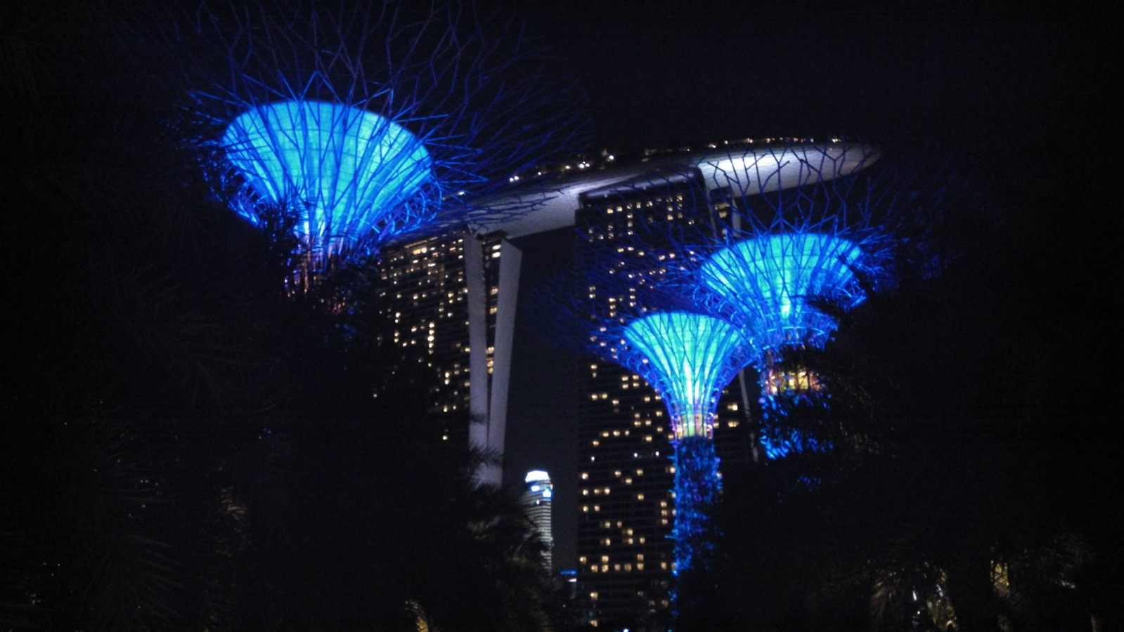 2026新加坡滨海湾花园游玩攻略,...来就是花园里了,旁边是通...【去哪儿攻略】