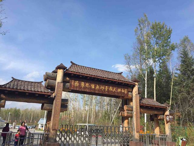 长白山大戏台河夜景游