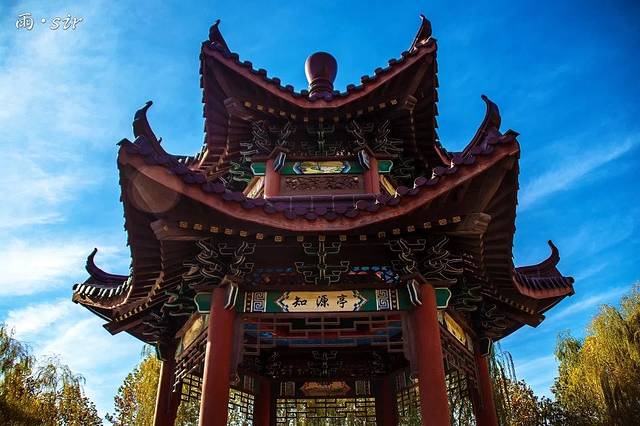 东北大学(秦皇岛分校)