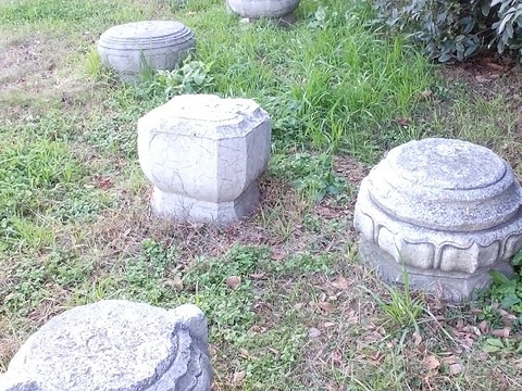 白马公园旅游景点图片