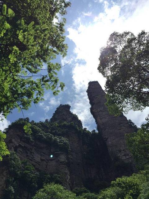 这叫神鹰护鞭,大家觉得左边的石峰像一只屹立在此的熊鹰吗?