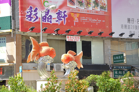 金鱼街旅游景点攻略图