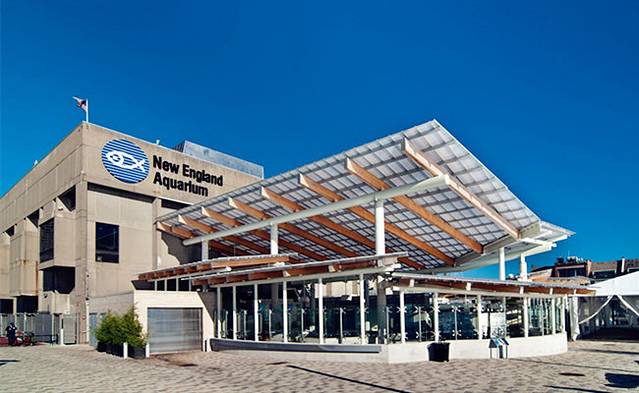 新英格兰水族馆