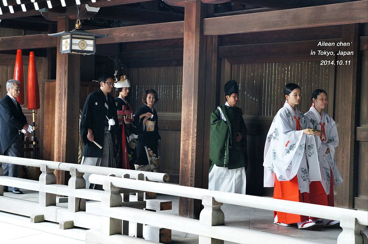 22新娘穿的 白无垢 礼服和戴白色锦帽子 走路非常不方便 但却是必须的 是日式最为体面的婚礼 明治神宫 评论 去哪儿攻略