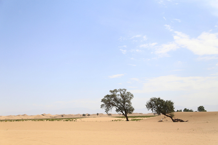 终于到了目的地第一次与沙漠零距离接触,内心