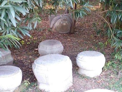 白马公园旅游景点图片