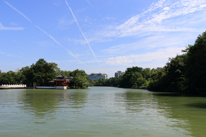 许多扎根在这里的榕树,茂密的树叶让游人更加的凉爽_榕杉湖景区"