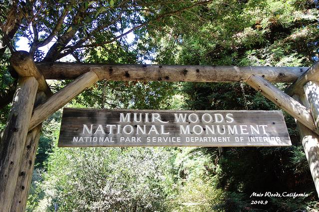 缪尔森林国家纪念地