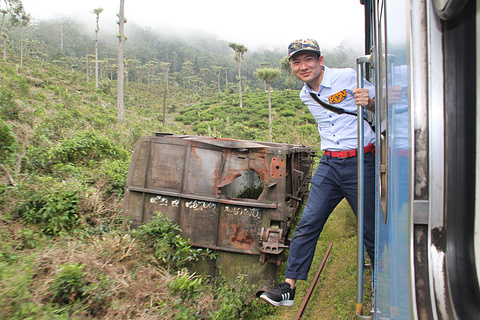 茶园火车旅游景点攻略图