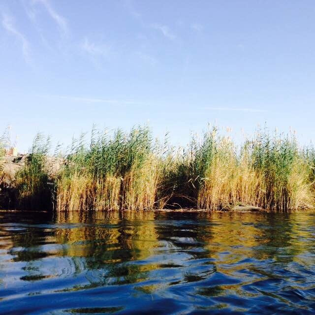 我和埃及有个约会