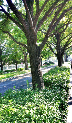 2017第二天,景仁宫,就是韩国皇上住的地方,比.