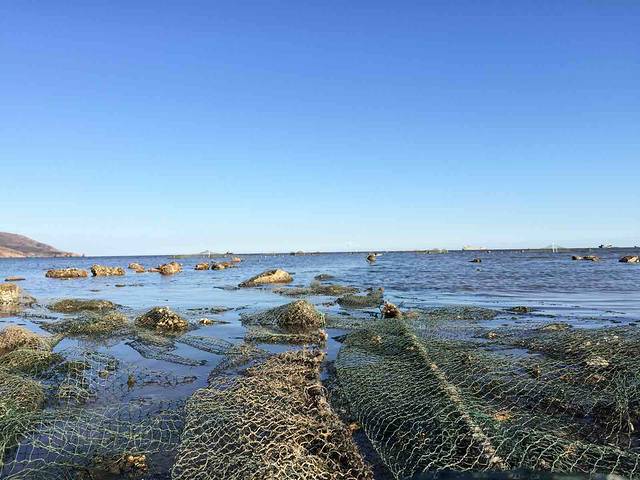 龙湾海滨风景区