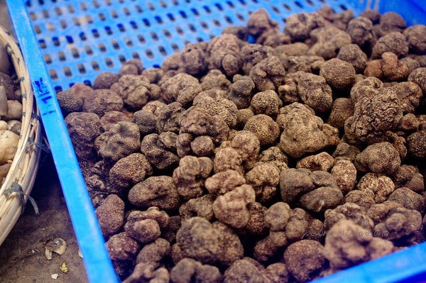 云南木水花野生菌市场