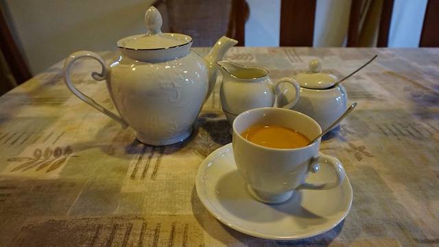 一个人,遇见最美的斯里兰卡