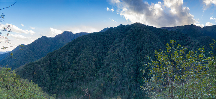 "...想起了缅甸“野人山”的名字，公路大多在原始森林中穿行，景色很美，空气极清新，全景拼接，点击放大_高黎贡山国家级自然保护区"的评论图片