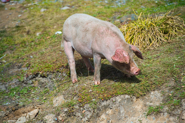2017.坐落于祁连山脉南麓的东端,平均海拔180