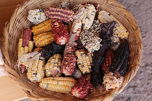 萨利纳斯·马拉斯