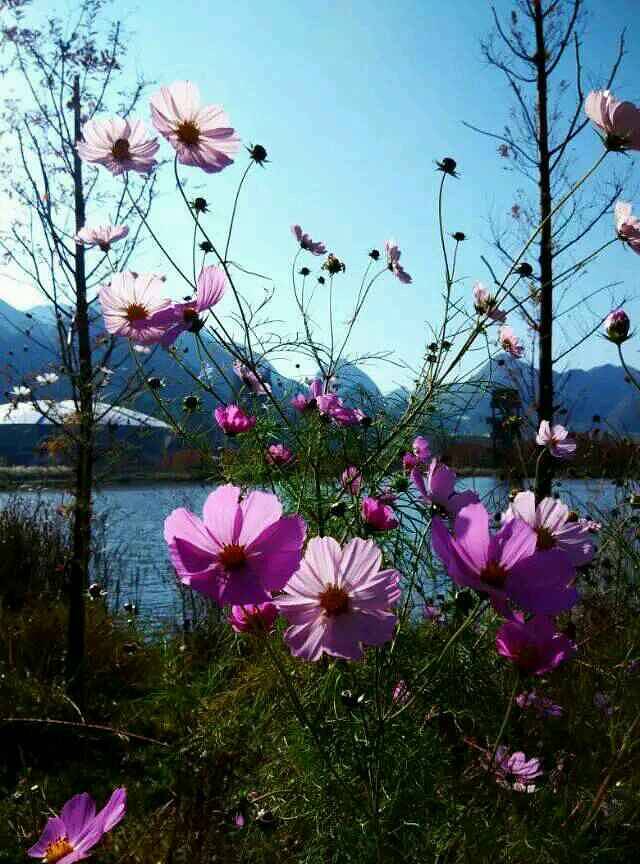 明湖国家湿地公园