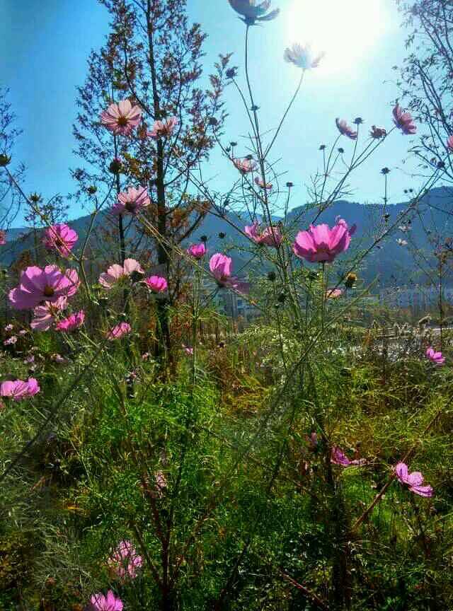 明湖国家湿地公园