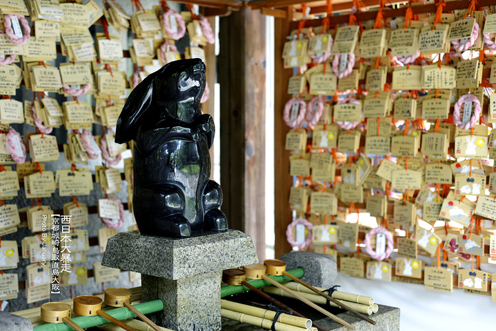 挂满的绘马上写着心愿和还愿文字.这个叫"果步"的小姑娘,名字真好听呢