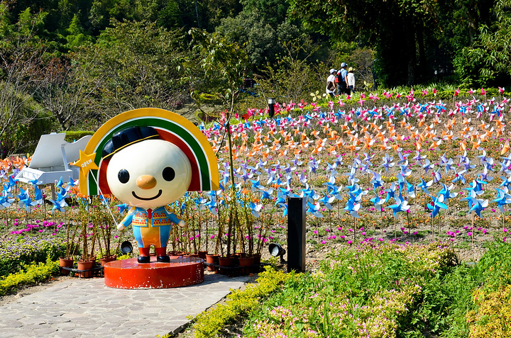 既能当阴,又能很好地将花园与外界隔开。