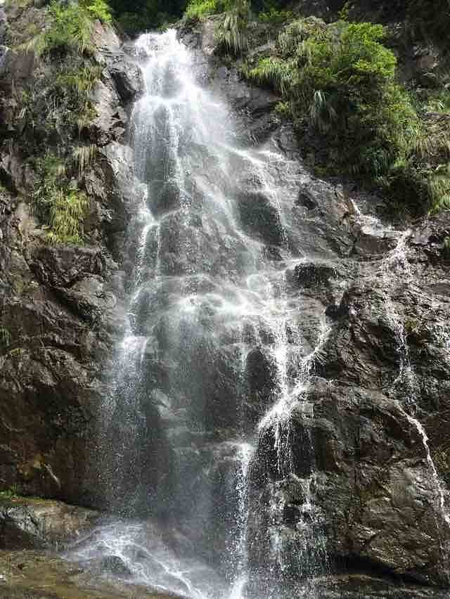 江厦森林公园(江夏乡)